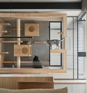 Gabinete de vidrio y madera para gatos - diversión garantizada