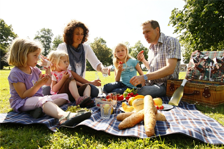 haciendo-picnic