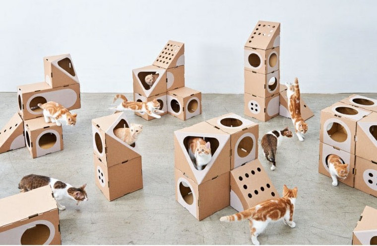 los gatos diseño cajas carton