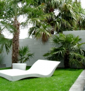 100 ideas para jardines minimalistas modernos e impresionantes
