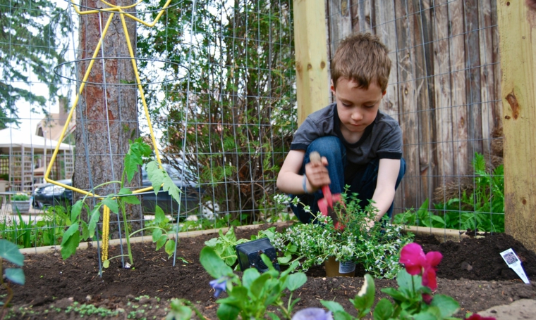 plantar-en-el-jardin