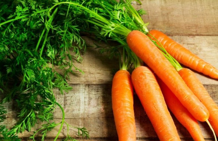 plantas alimenticias zanahorias