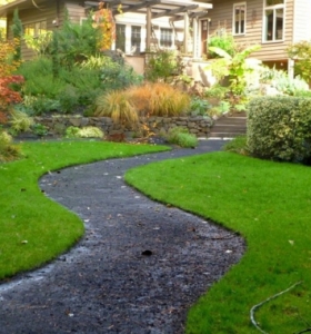 Jardinería: ideas de pavimentos y plantas para los caminos de jardín