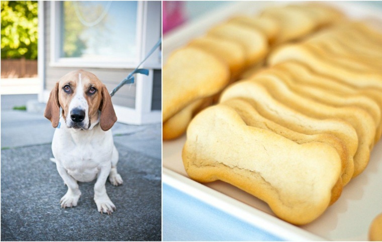 galletas-inspiradas-en-perros