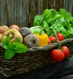 lista-de-verduras-criadas-plantadas-casa-resized