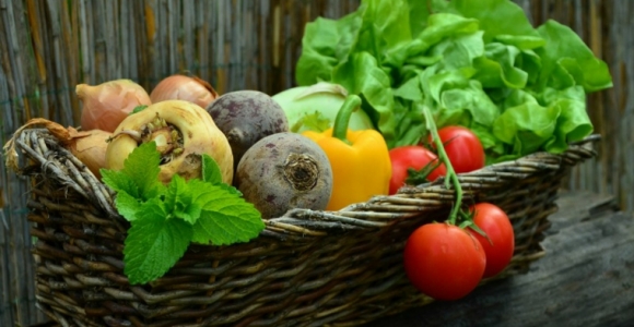 lista-de-verduras-criadas-plantadas-casa-resized