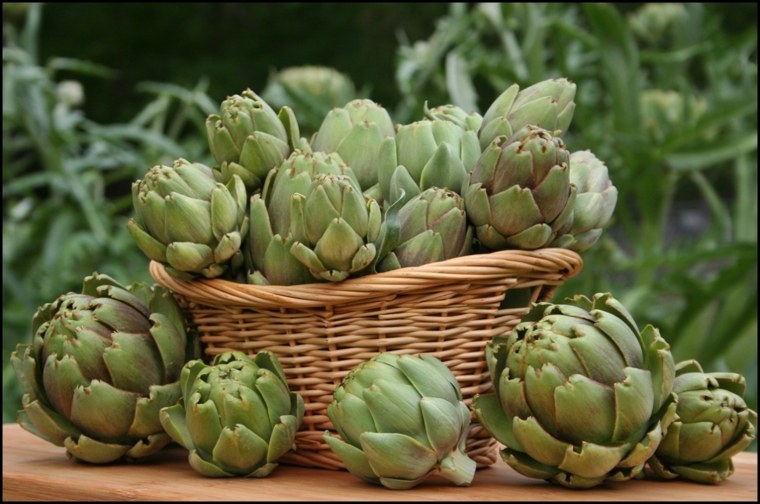 plantas-alcachofa-beneficios-salud