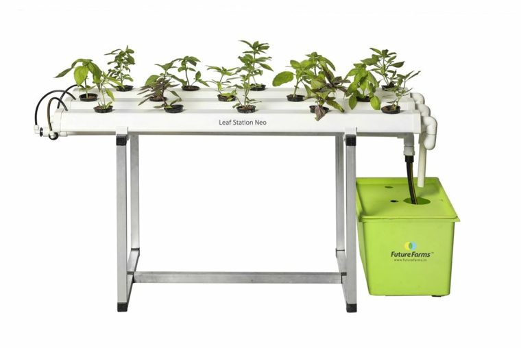 que-es-el-cultivo-hidroponico-plantas-resized