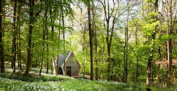 casas-moviles-pequenas-casa-bosque-verde