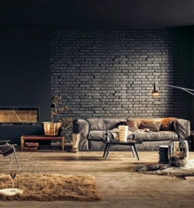 colores-para-interiores-modernos-elegantes-negro-resized