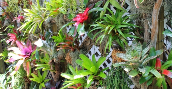 como-hacer-un-jardin-vertical-flores-resized