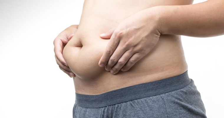 mosquitos-picaduras-embarazos-sobrepesos-resized