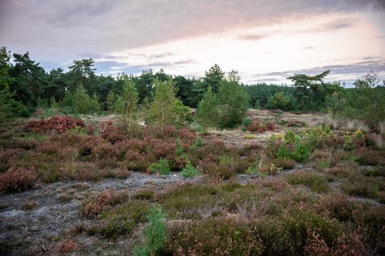 paisaje-en-la-naturaleza