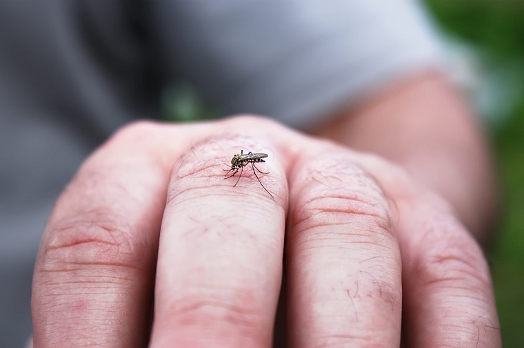 repelente-de-mosquitos-natural-picaduras-molestas-manos