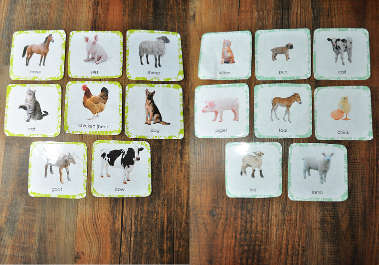 entretenimiento-para-ninos-cumpleanos-tarjetas-animales