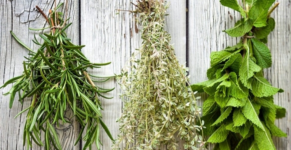 hierbas-huesos-ideas-salud-bienestar