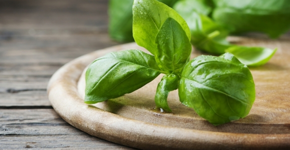 hojas-de-albahaca-beneficios