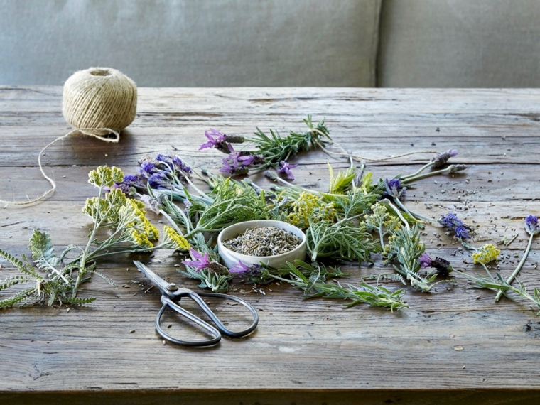 lavanda-planta-hierba-seca-ideas