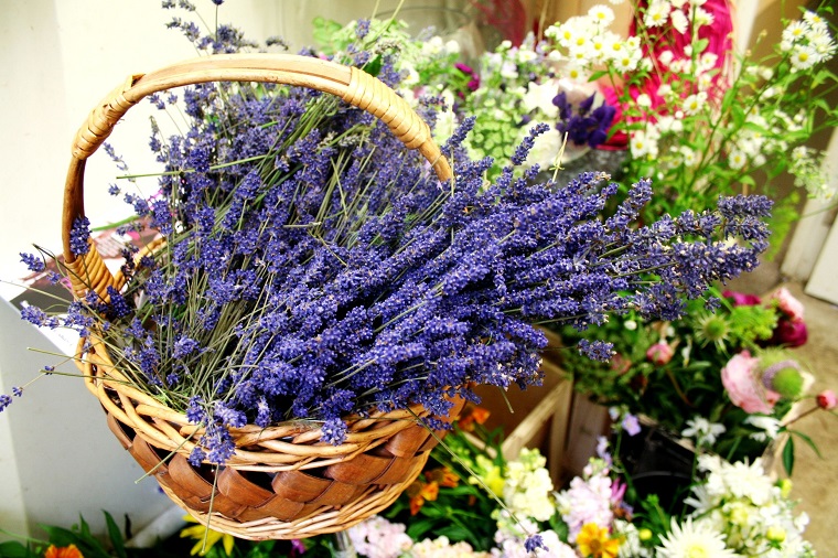 maceta-flo-lavanda-opciones