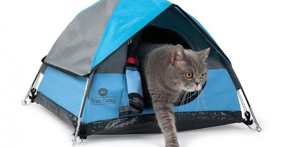 cosas-de-gatos-ideas-originales