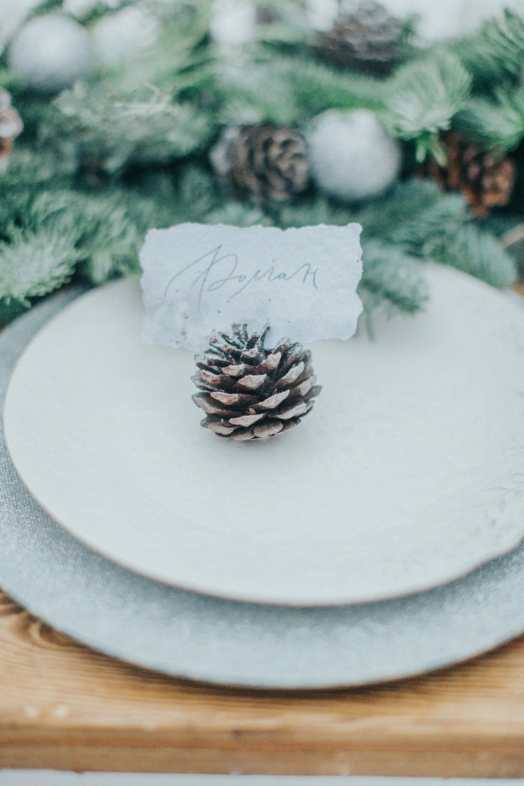 ideas-para-bodas-invierno-decoracion-plato-pina