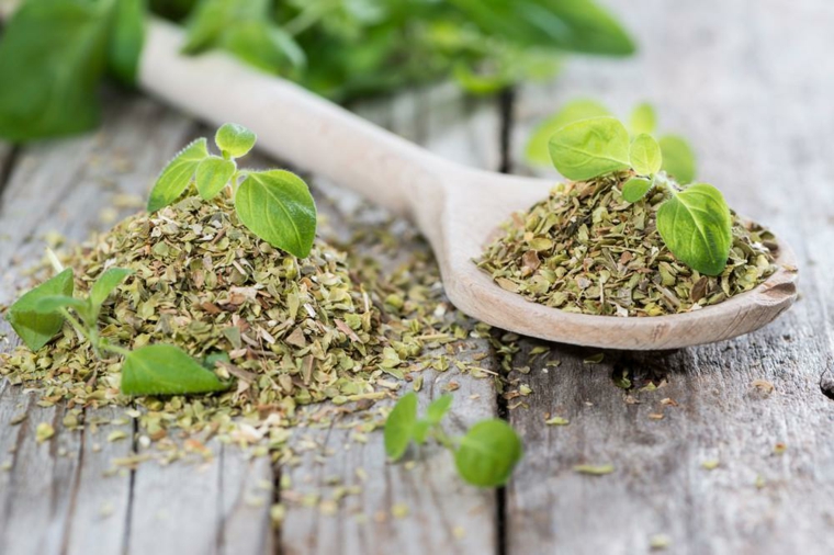 plantas-aromáticas-para-condimentos