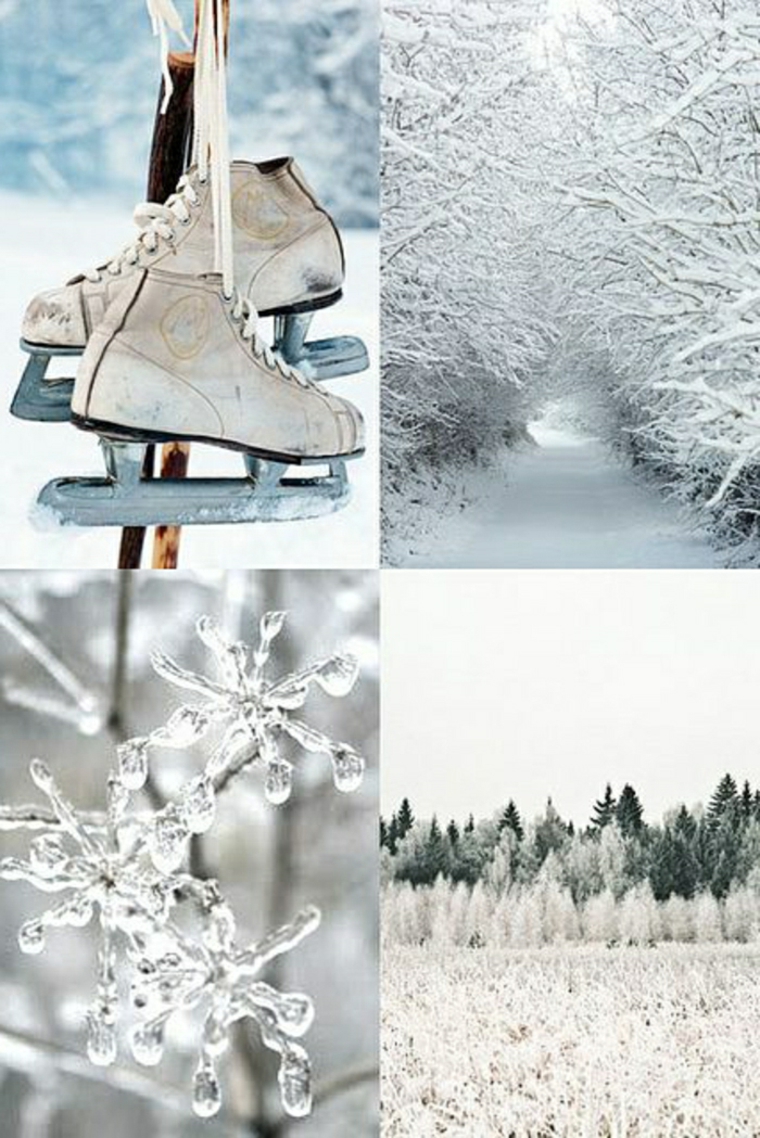 fotos-de-invierno