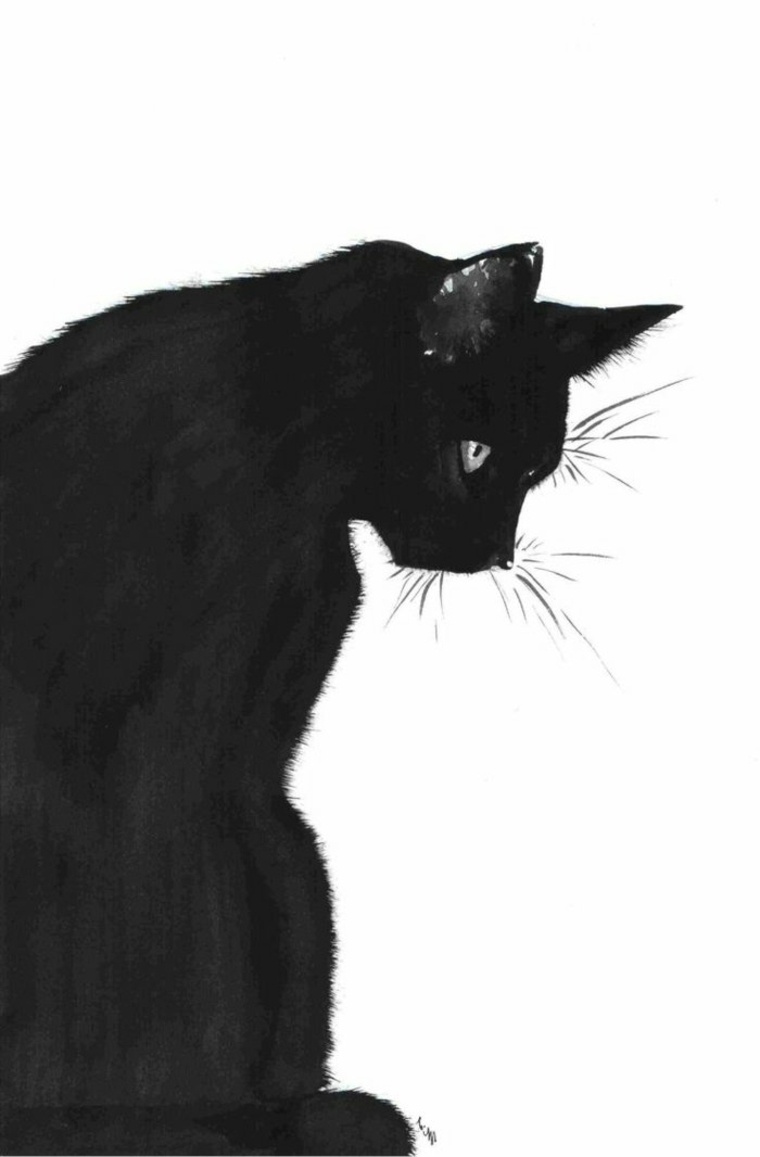 gato-negro