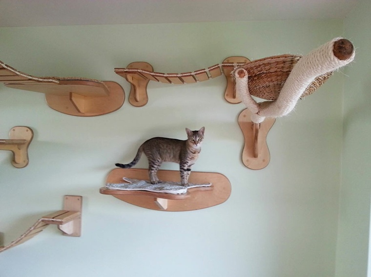 juegos para gatos en-la-pared