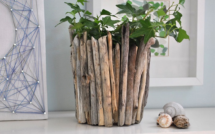 madera a la deriva macetas plantas