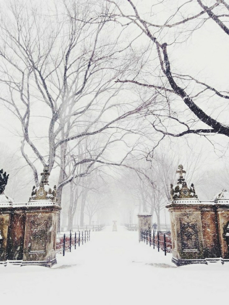 paisajes hermosos con-nieve