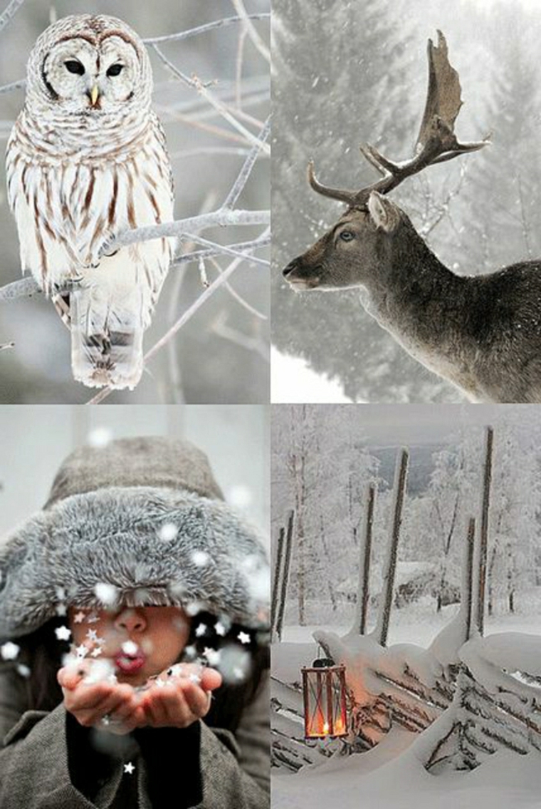 paisajes hermosos de-invierno-colaje