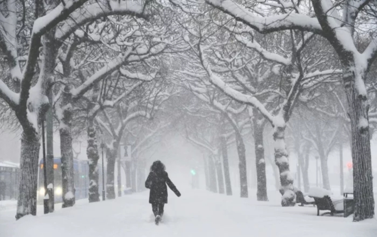 paseo-en-invierno