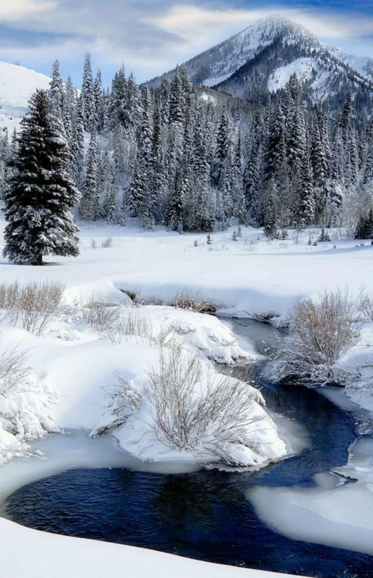 río-en-invierno
