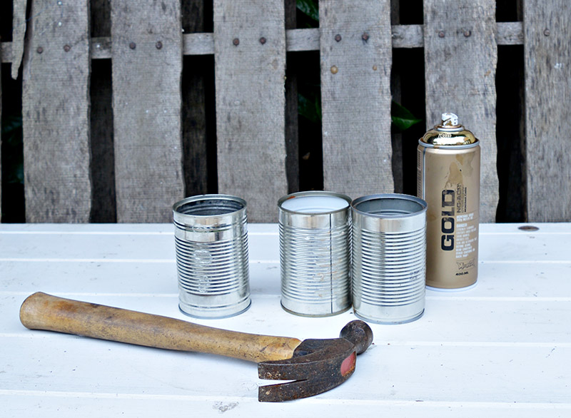 suculentas-plantas-latas-materiales