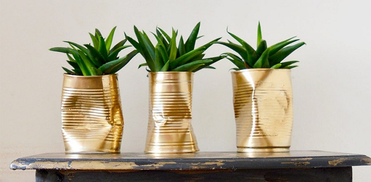 suculentas-plantas-latas-opciones-originales