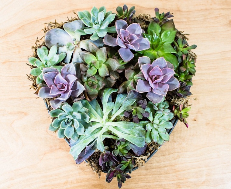 suculentas-plantas-maceta-forma-corazon-ideas-decorar-casa-estilo-naturalidad