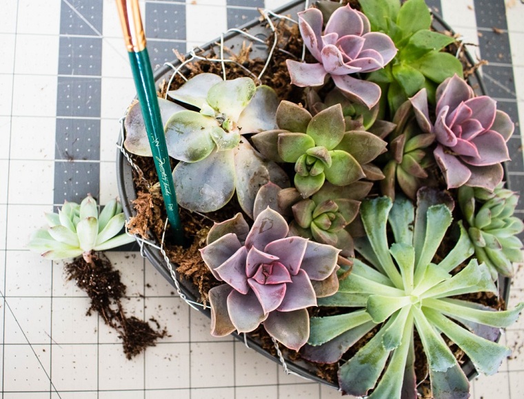 suculentas-plantas-maceta-forma-corazon-ideas-decorar-casa-estilo