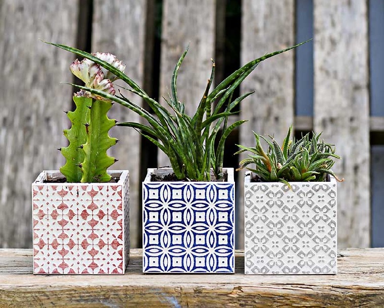suculentas-plantas-opciones-ideas