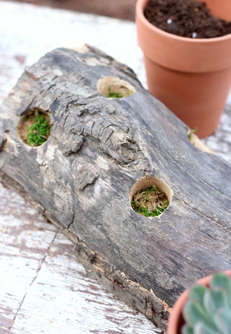 suculentas plantas-proyecto-ideas-decoracion-exteriores-estilo