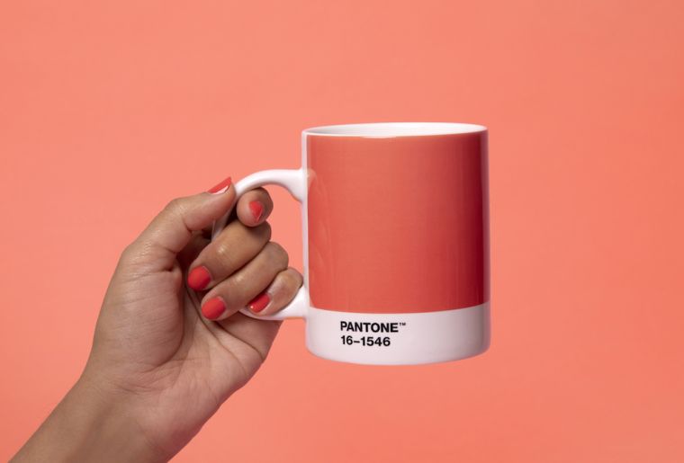 color pantone-ano-2019-tendencia-decorar