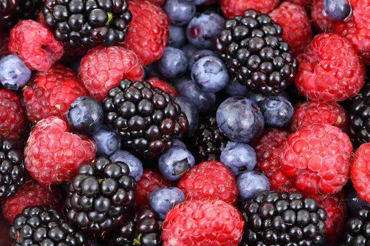 alimentos-saludables-habitos-frutas-bosque