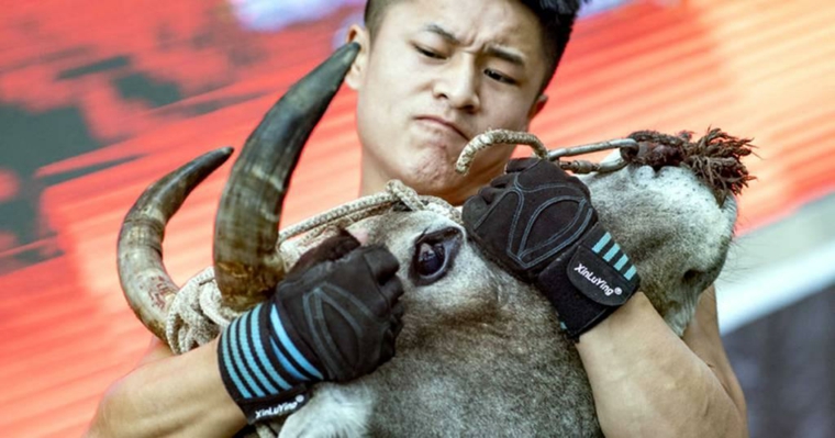 artes marciales y toros