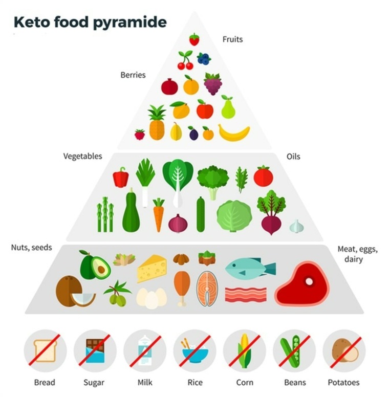 cetosis pirámide alimenticia