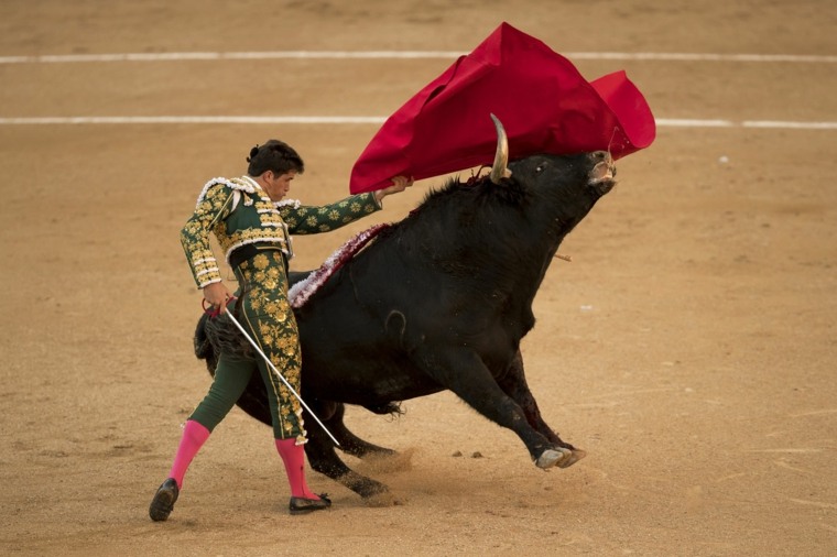 corrida de toros española