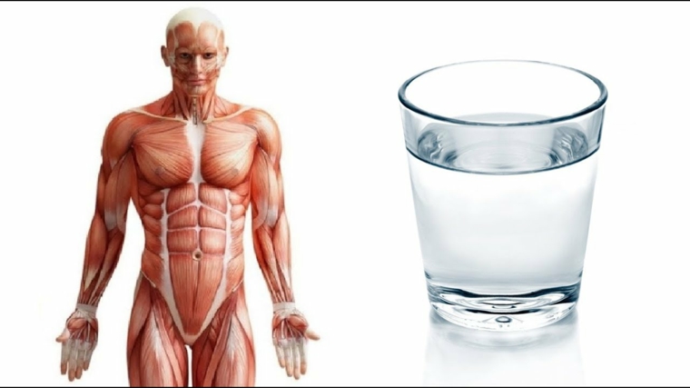 beber-mucha-agua-beneficios-ideas-bienestar