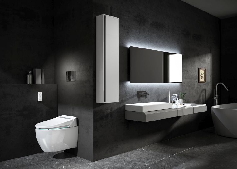 diseños de cuartos de baño-color-sombrio