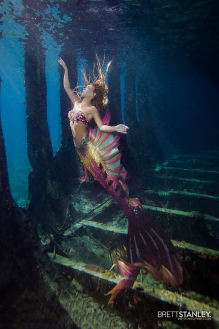 Brett Stanley fotografía subacuática