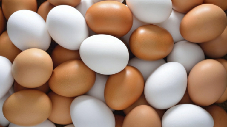 keto dieta huevos