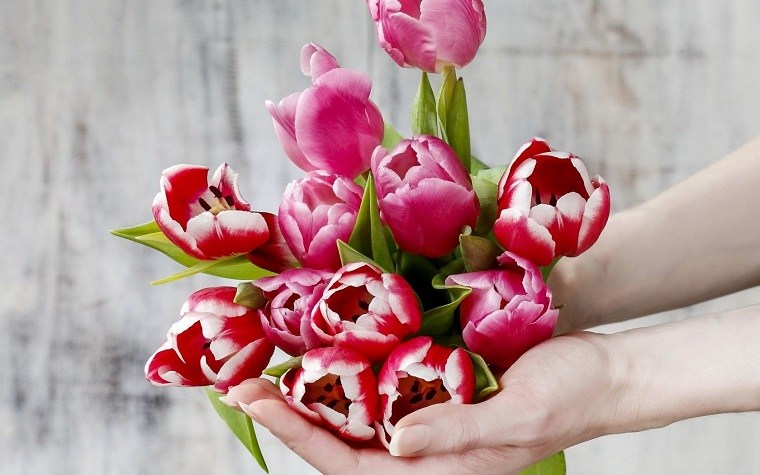 tulipanes-ramo-estilo-ideas-opciones